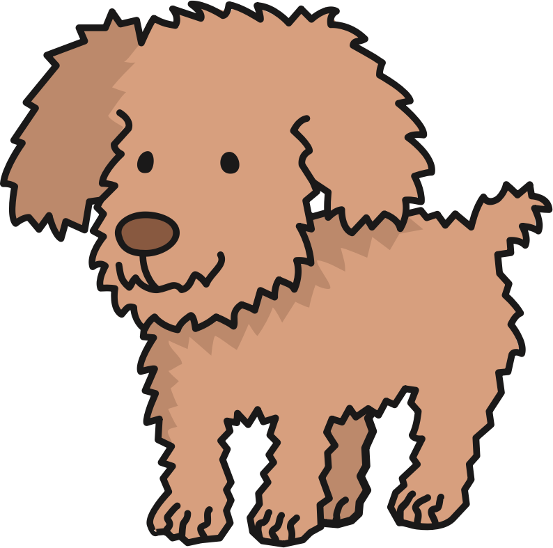 Toy Poodle