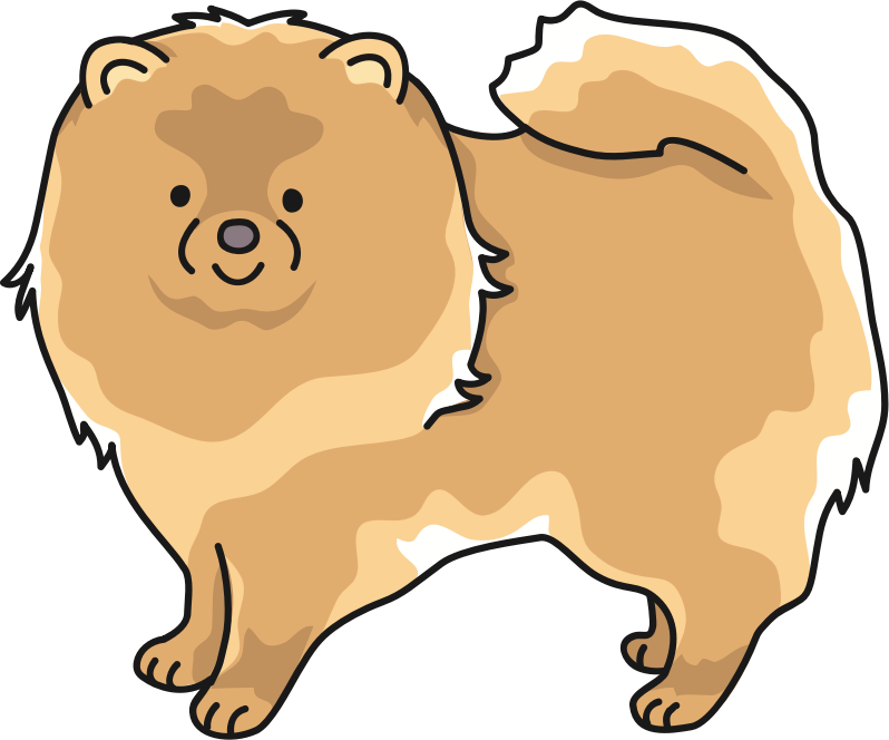 Pomeranian