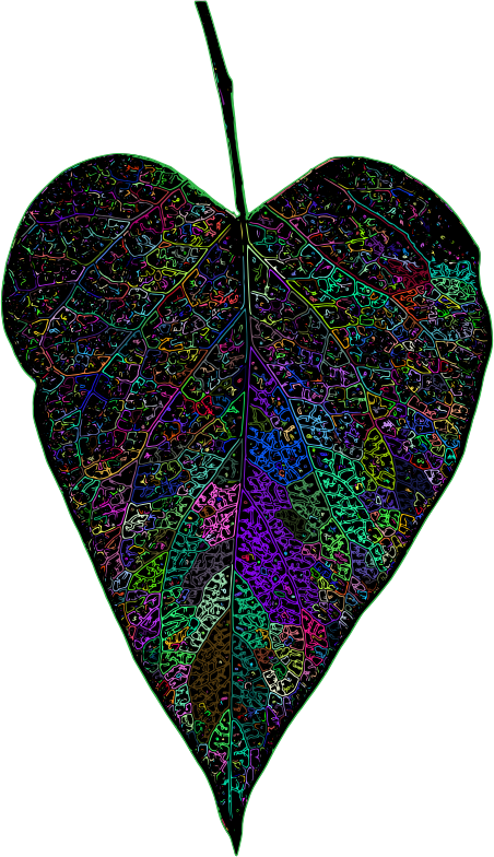 Detailed Leaf Line Art Prismatic