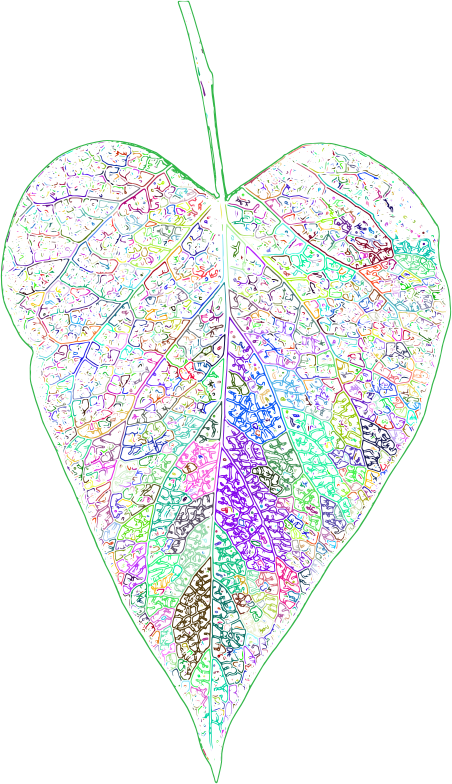 Detailed Leaf Line Art Prismatic No BG