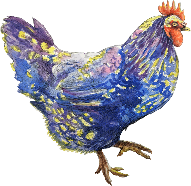 Chicken By KolonjaArt