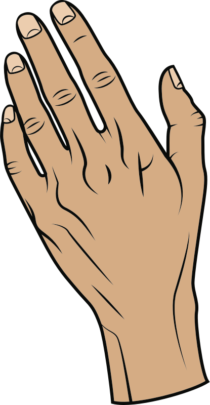 Hand (#1)