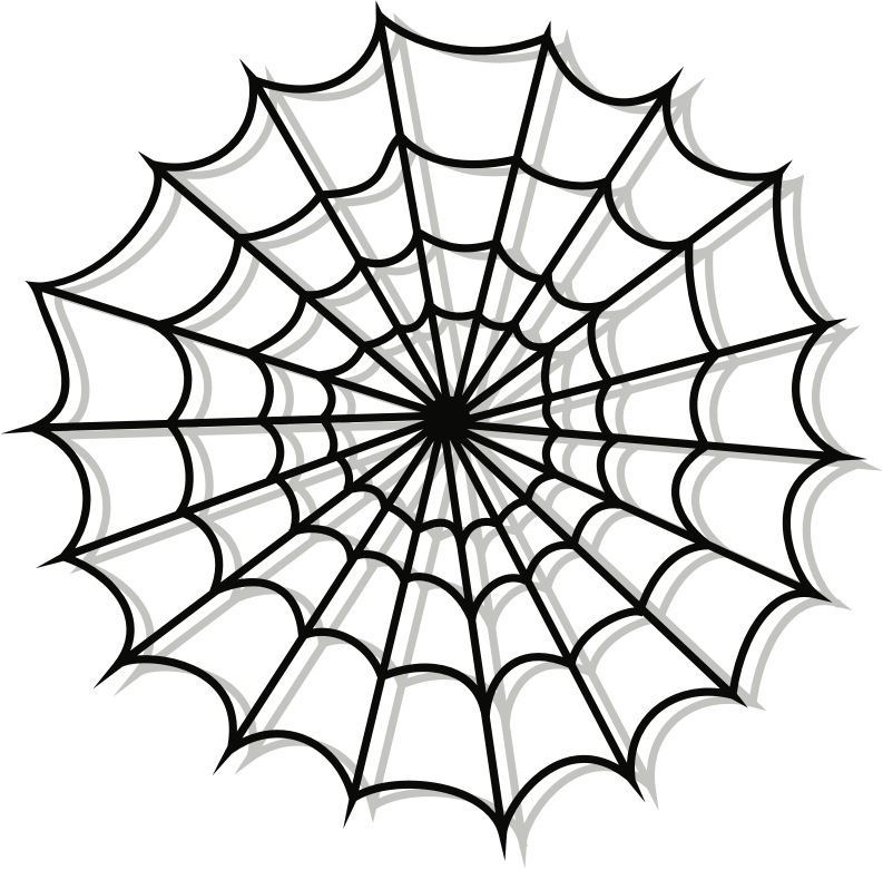 Spider Web (#3)