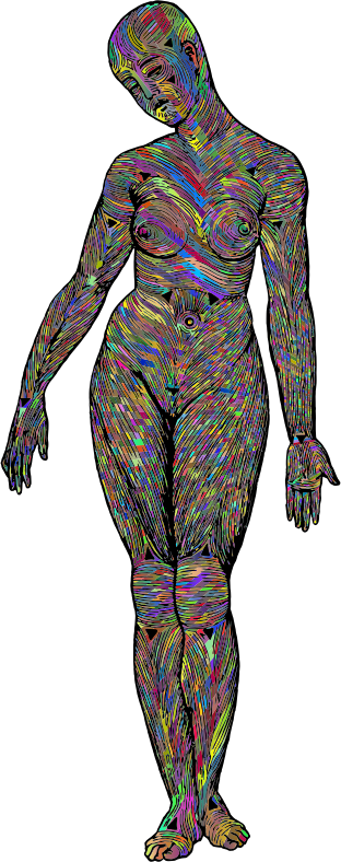 Muscle Fibers Woman Polyprismatic