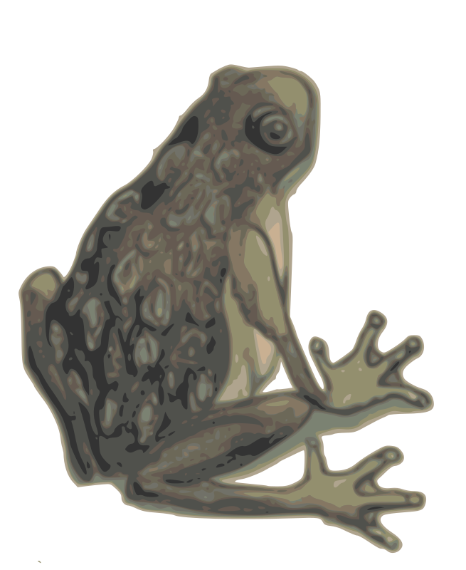 Realistic Frog