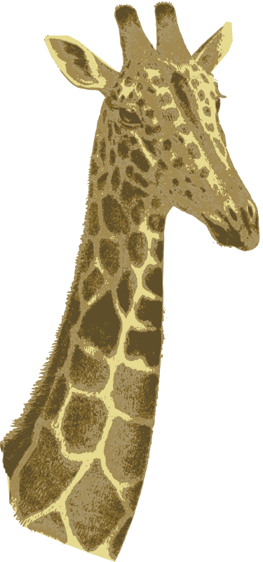 Giraffe Head