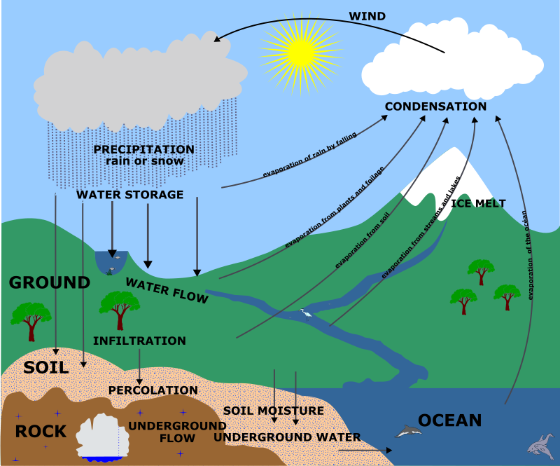 Water Cycle - English - Openclipart