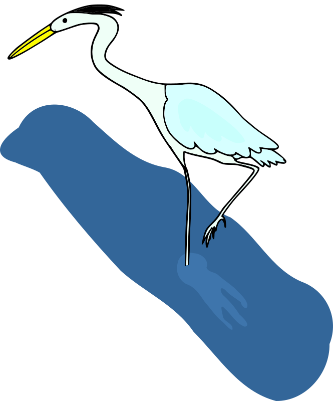 Crane in a River