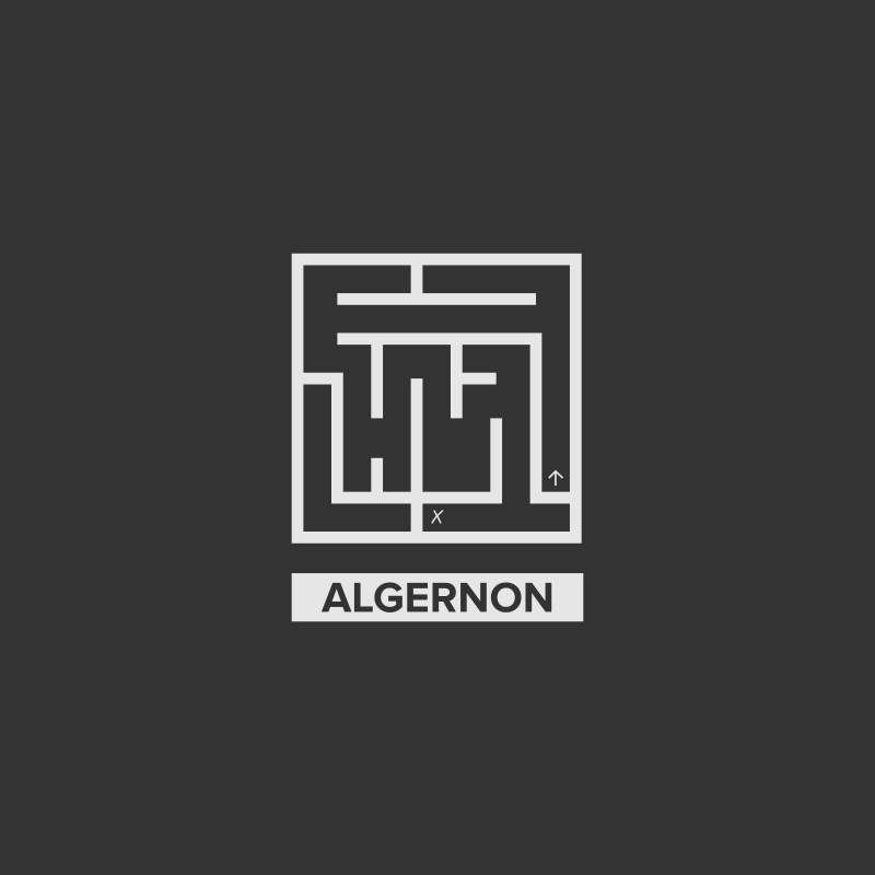 Algernon Labyrinth