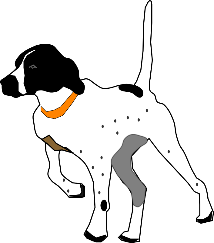 Pointer Dog