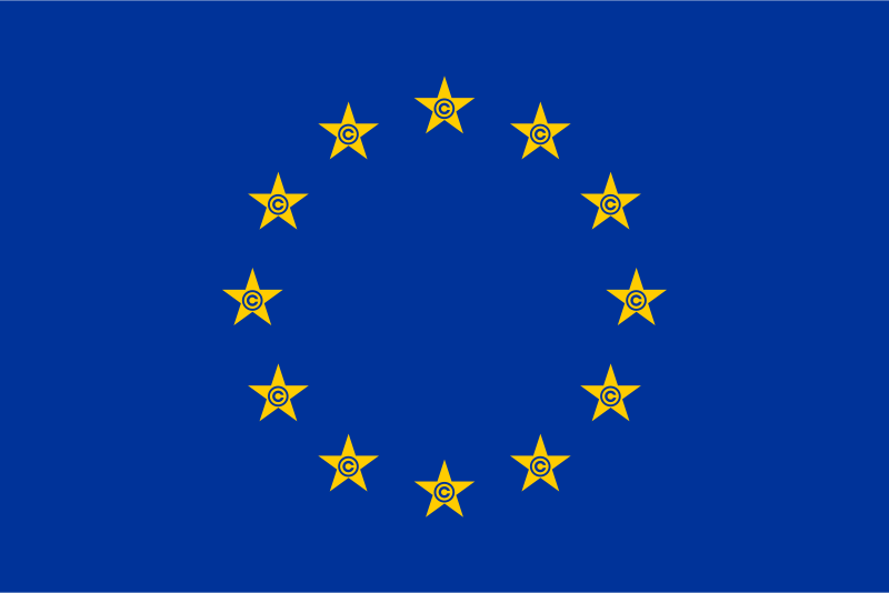 Article 13