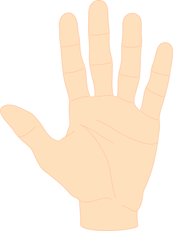 Hand