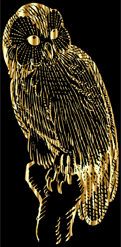 Vintage Owl Line Art Gold