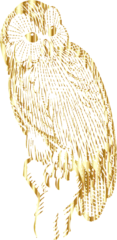 Vintage Owl Line Art Gold No BG