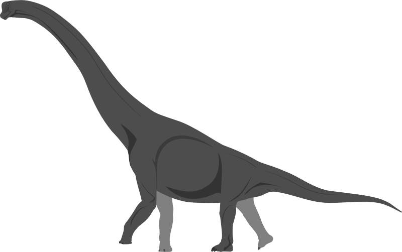 Brachiosaurus