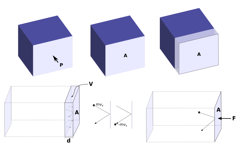 Ideal Gas in a box