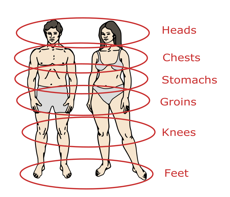 Plural Body Parts