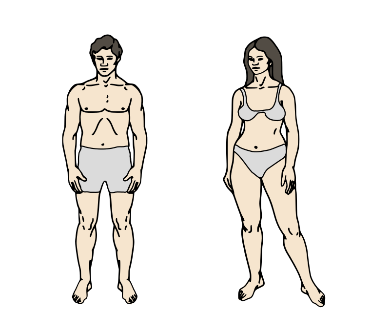 Body Parts Chart