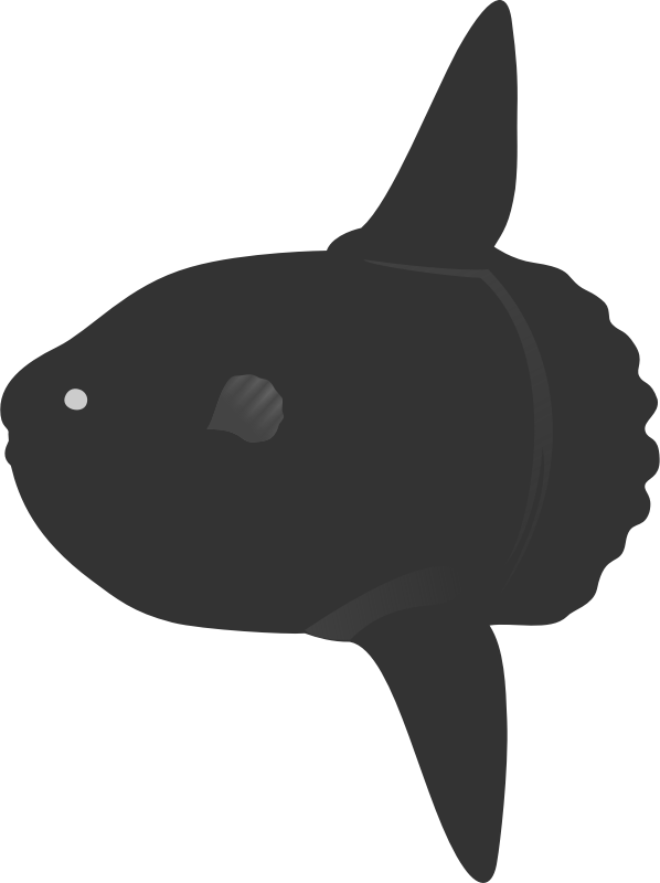 Sunfish