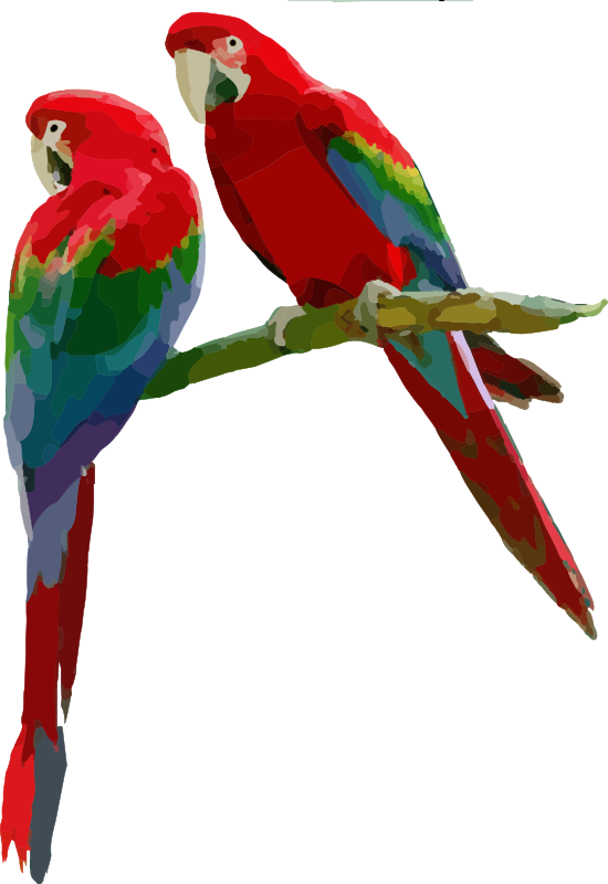 Parrots