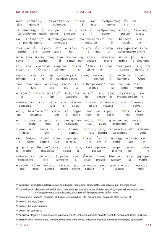 Traduzione Interlineare Greco Italiano del Nuovo Testamento