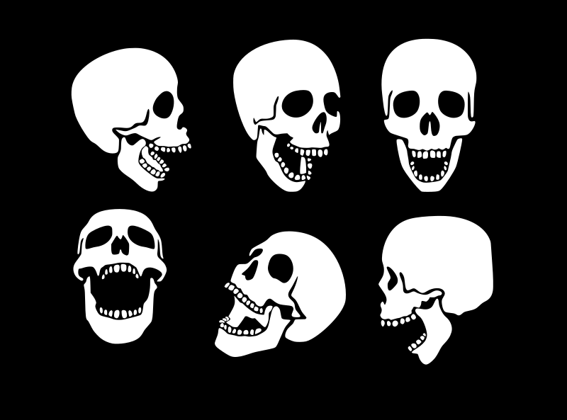 Human skulls