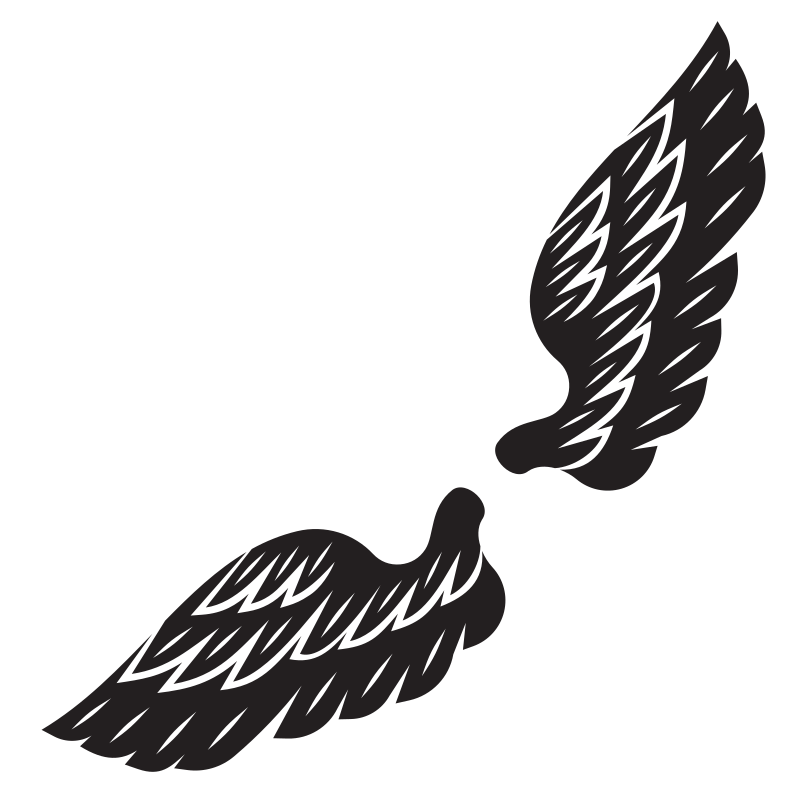 Wings silhouette graphics