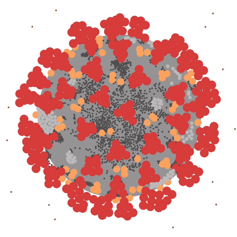 COVID-19 virus ultrastructure