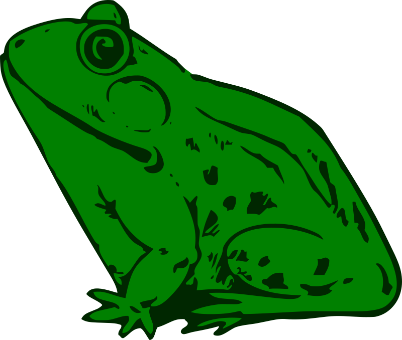 Frog