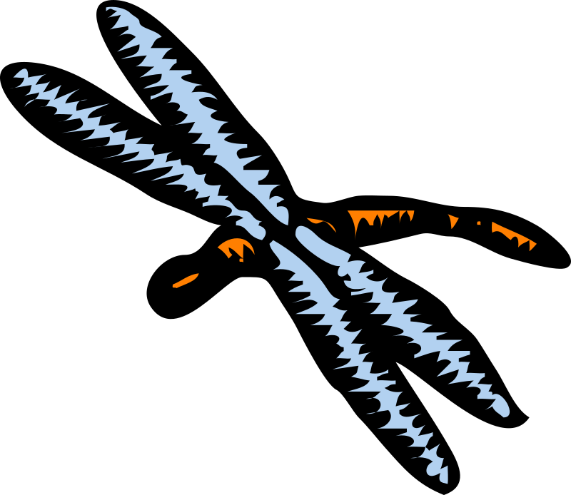 Architetto -- libellula