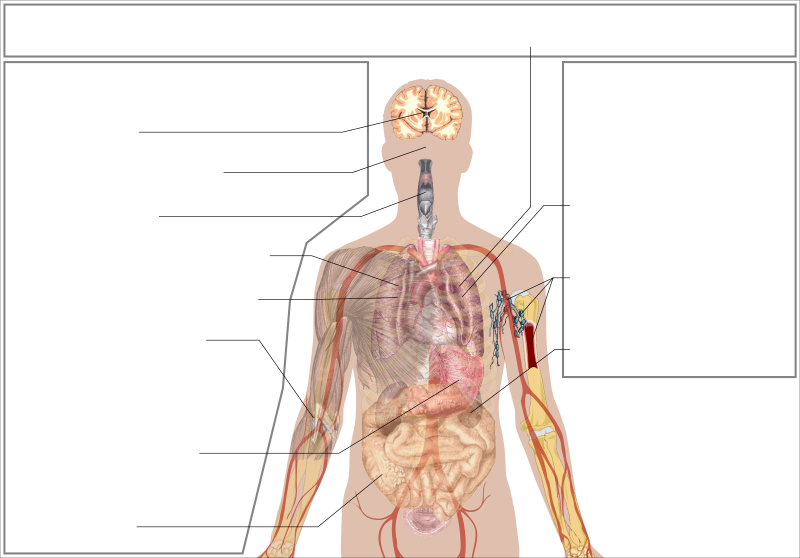 Symptoms of coronavirus disease 2019 