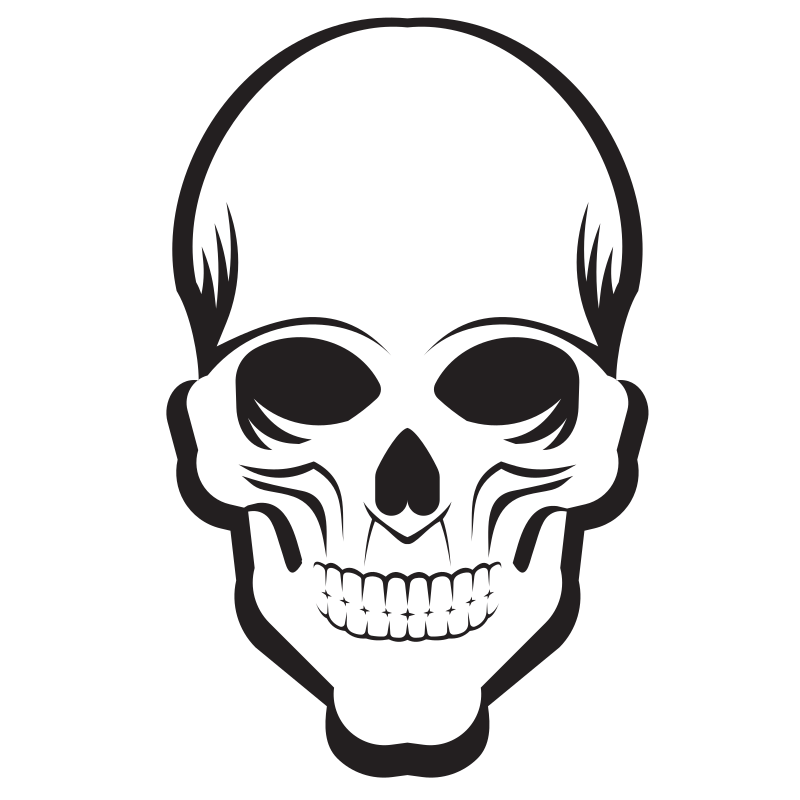 Human skull smiling