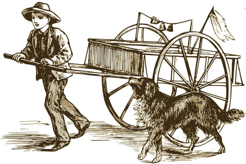 Boy and His Dog Cart