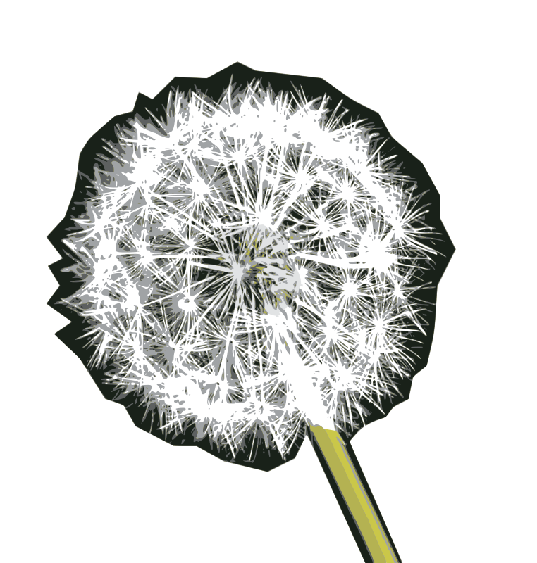 Blown on this Dandelion