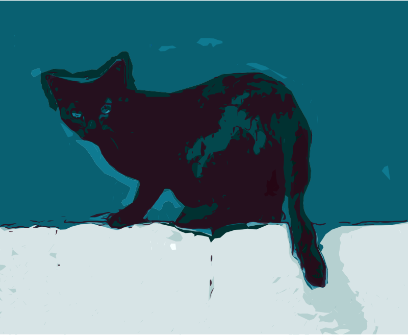 Cat on a Wall - Night