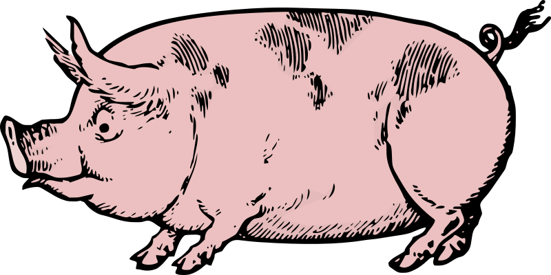 pink pig outline