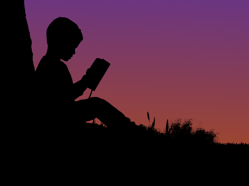 Boy reading in sunset