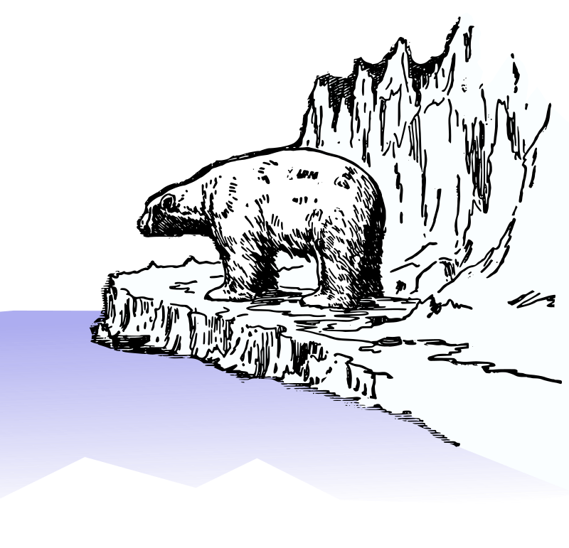 Polar Bear on Iceberg