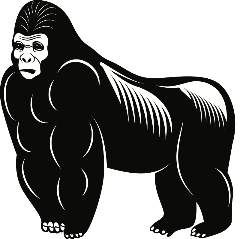 Gorilla