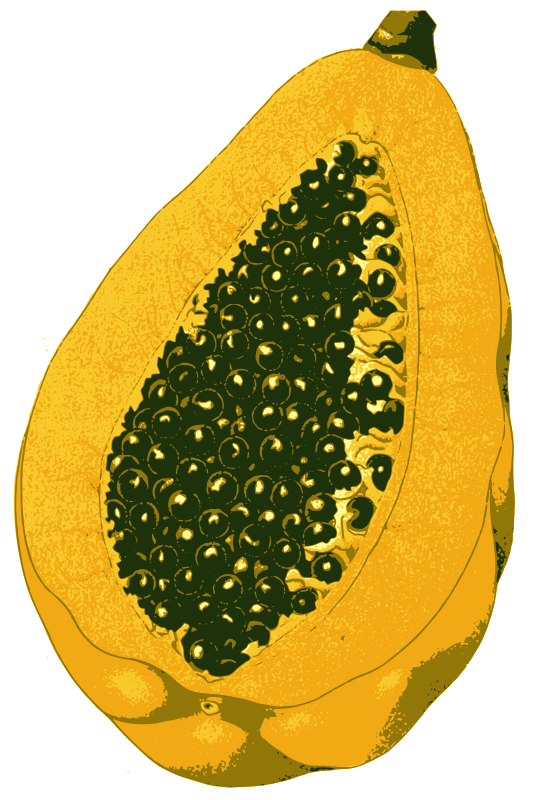 Papaya fruit