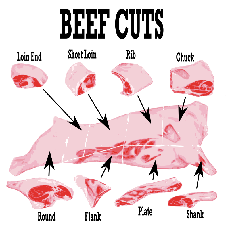 Beef Cuts Diagram