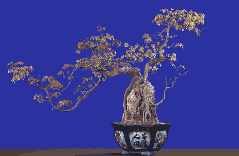 Bonsai Remix