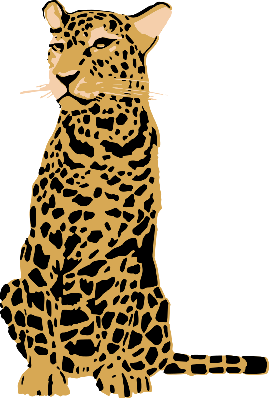 Sitting leopard Openclipart