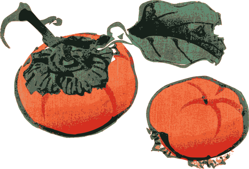 Persimmons