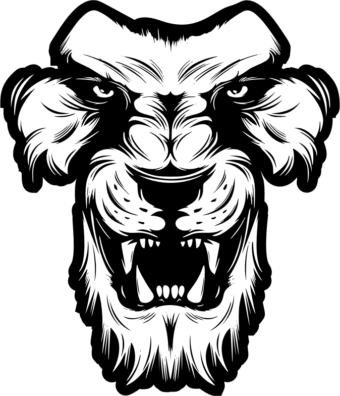 Lion1