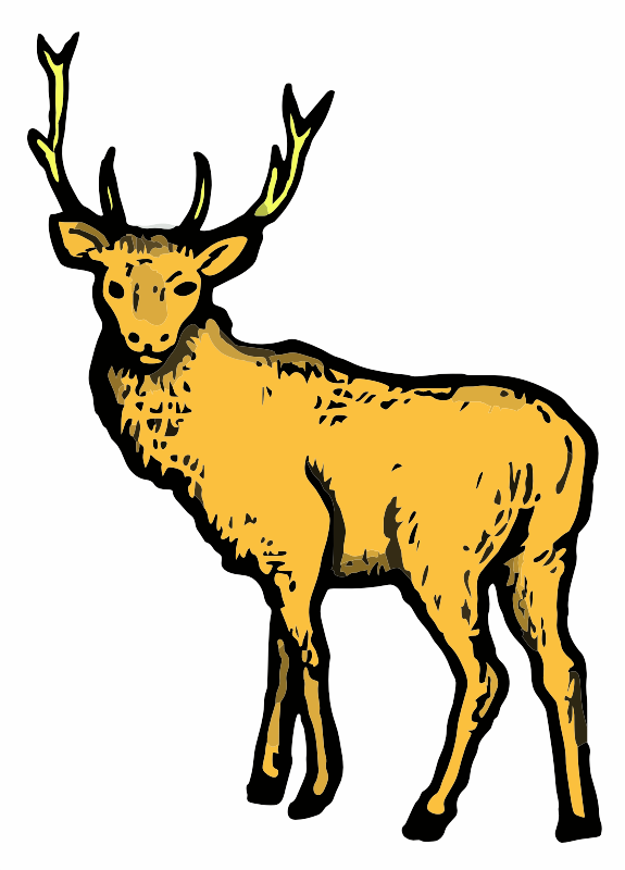 A Deer