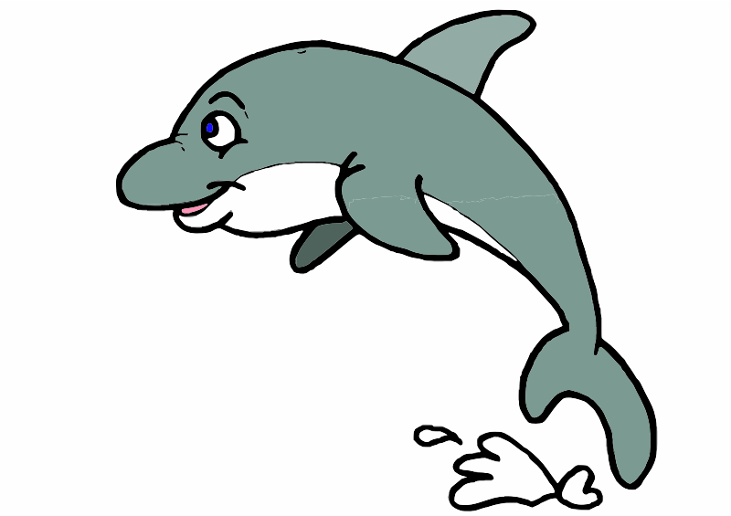 A Dolphin