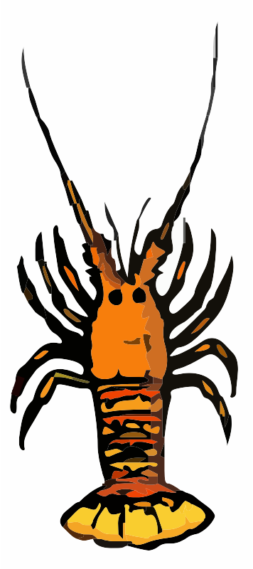 A Crayfish