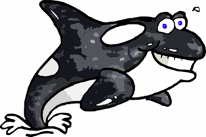 An Orca