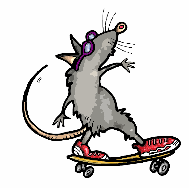 A Rat on a Skateboard